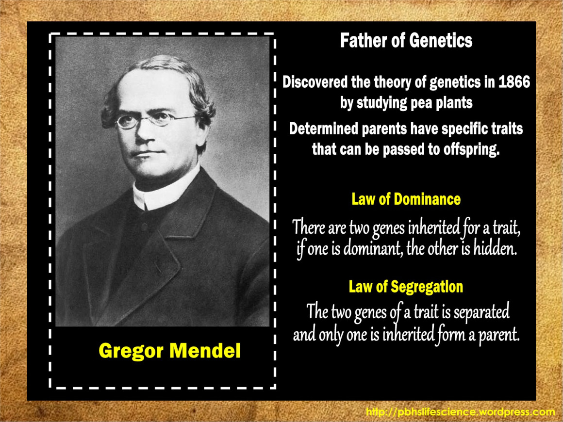 Mendel